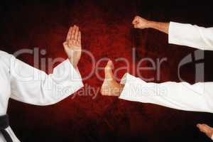 Composite image of female fighter performing karate stance