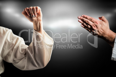 Composite image of female fighter performing karate stance