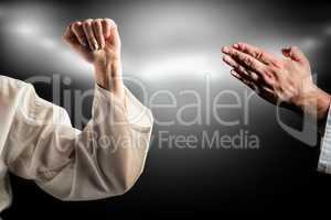 Composite image of female fighter performing karate stance