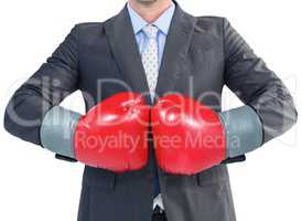 Businessman with boxing gloves