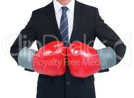 Businessman with boxing gloves