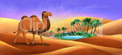 Bactrian Camel Goes Through the Desert