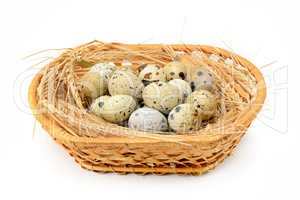quail eggs in basket