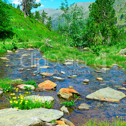 Scenic stream in the mountains