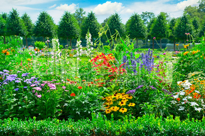 Blossoming flowerbed in the park