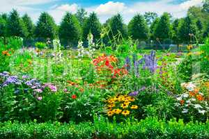 Blossoming flowerbed in the park