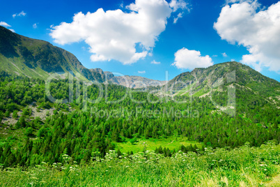 Mountains covered with forest and blue sky