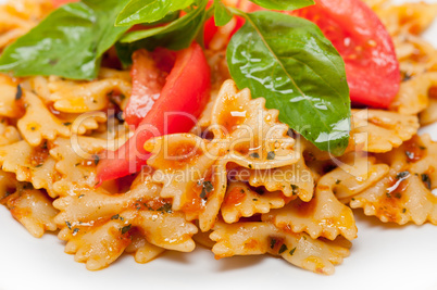 Italian pasta farfalle butterfly bow-tie and tomato sauce