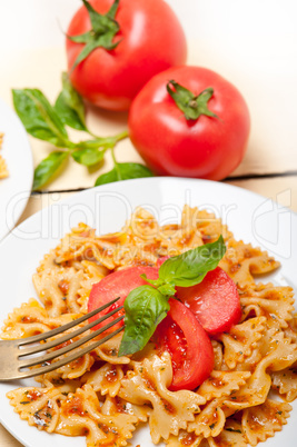 Italian pasta farfalle butterfly bow-tie and tomato sauce