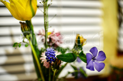 Lilac, tulips and narcissus flowers bunch