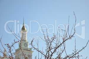 Church behind Branch of beautiful pink flower