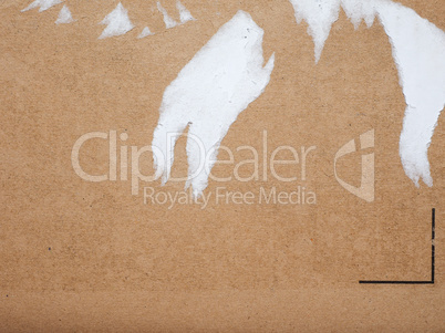 Brown corrugated cardboard background with ripped label