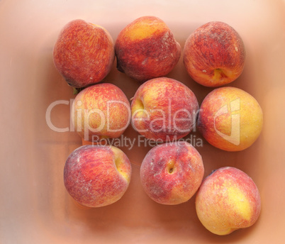 Many peach fruits