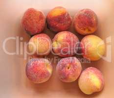 Many peach fruits