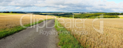 Stoppelfelder Panorama