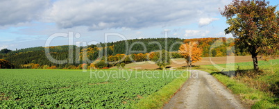 bunte Herbstlandschaft