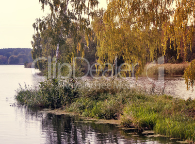Landscape with the image of the river and the surrounding nature