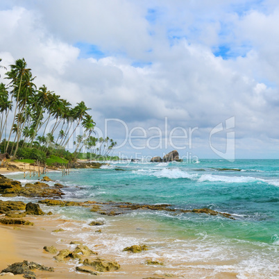 ocean, picturesque beach and blue sky