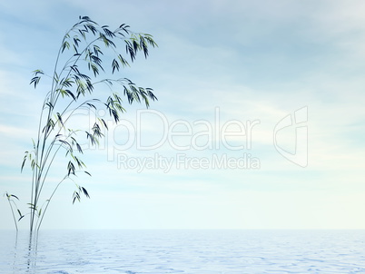 Bamboo and water - 3D render
