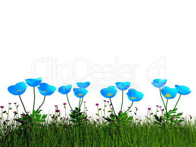 Poppies - 3D render