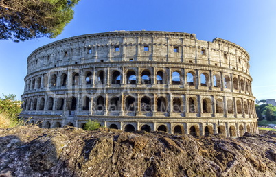 Coliseum, Roma, Italy