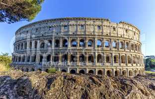 Coliseum, Roma, Italy