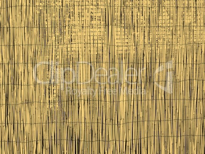 Bamboo background sepia