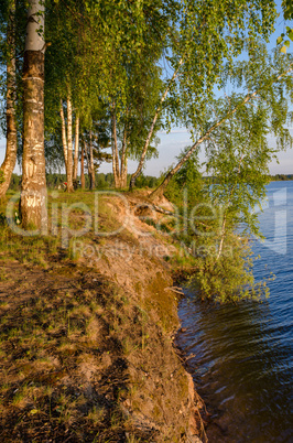 The river Bank on a summer evening