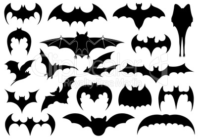 Illustration of different bats