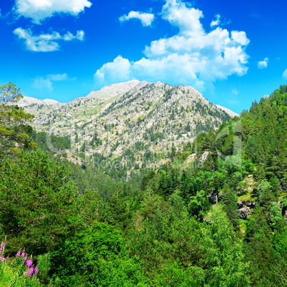 beautiful mountain landscape and blue sky