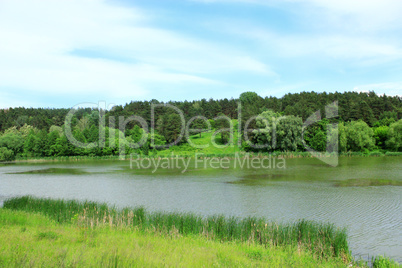 summer landscape with river and forest