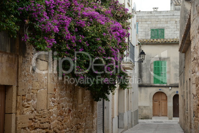 Gasse in Alcudia, Mallorca