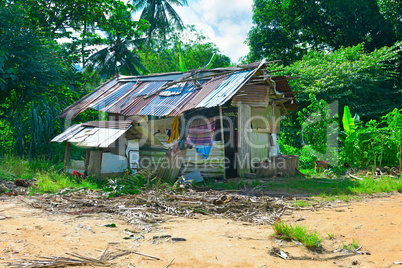 small hut in the jungle