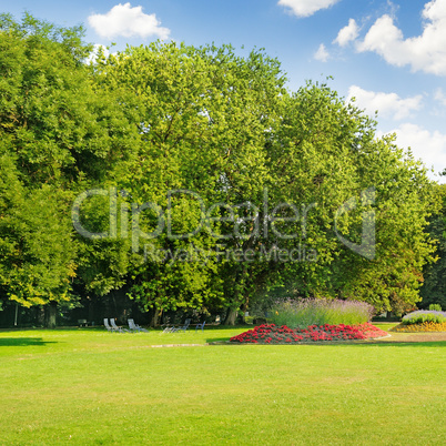 summer park with beautiful flowerbeds