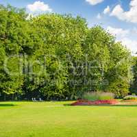 summer park with beautiful flowerbeds