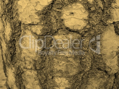 Tree bark sepia