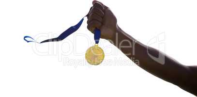 Hand holding a gold medal
