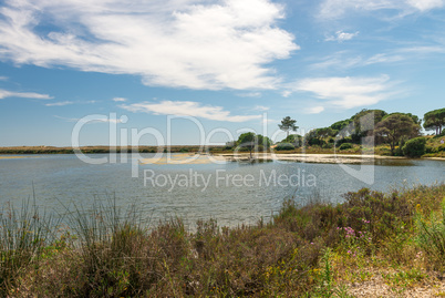 Quinta do Lago landscape, in Algarve, Portugal