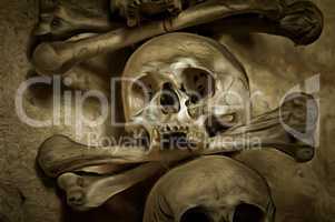 Human Skull And Bones
