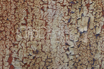 Cracked paint on the rusty metal