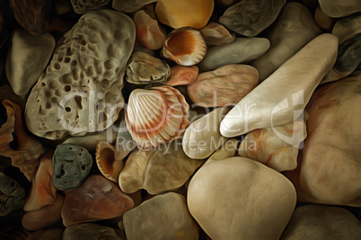 Sea Pebbles With Shells