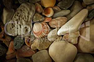 Sea Pebbles With Shells