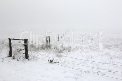 Bleak - pastures in the winter and fog