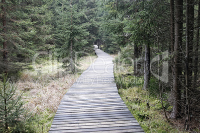 The nature trail in a nature reserve Kladska