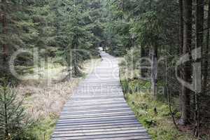 The nature trail in a nature reserve Kladska