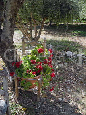 Stuhl mit Blumen