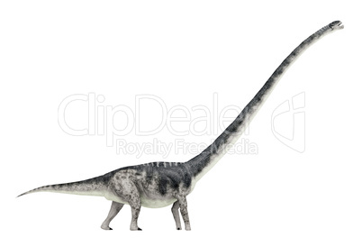 Dinosaurier Omeisaurus