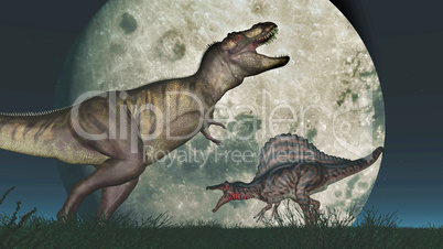Tyrannosaurus Rex und Spinosaurus