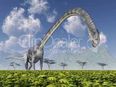 Dinosaurier Omeisaurus
