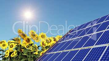 Solaranlage und Sonnenblumen